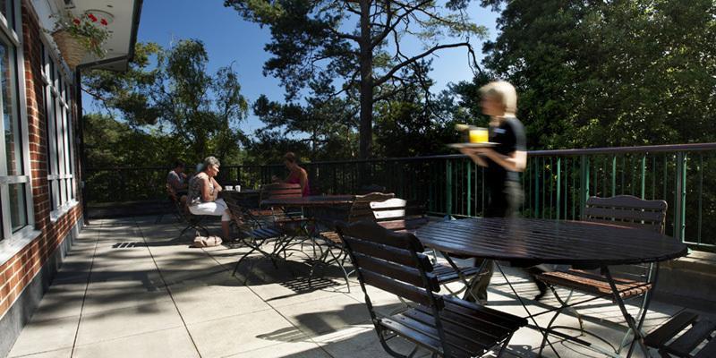 The Lodge At Meyrick Park ボーンマス エクステリア 写真